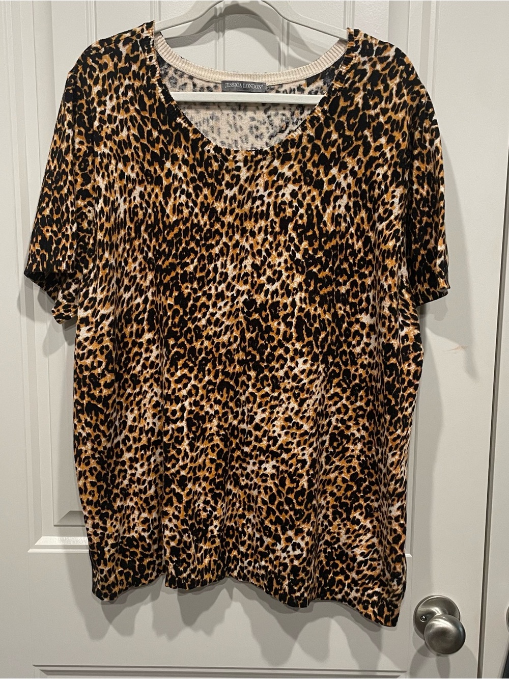Leopard Print Short Sleeve Top - Brown/Black by Jessica London